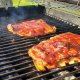 weber genesis